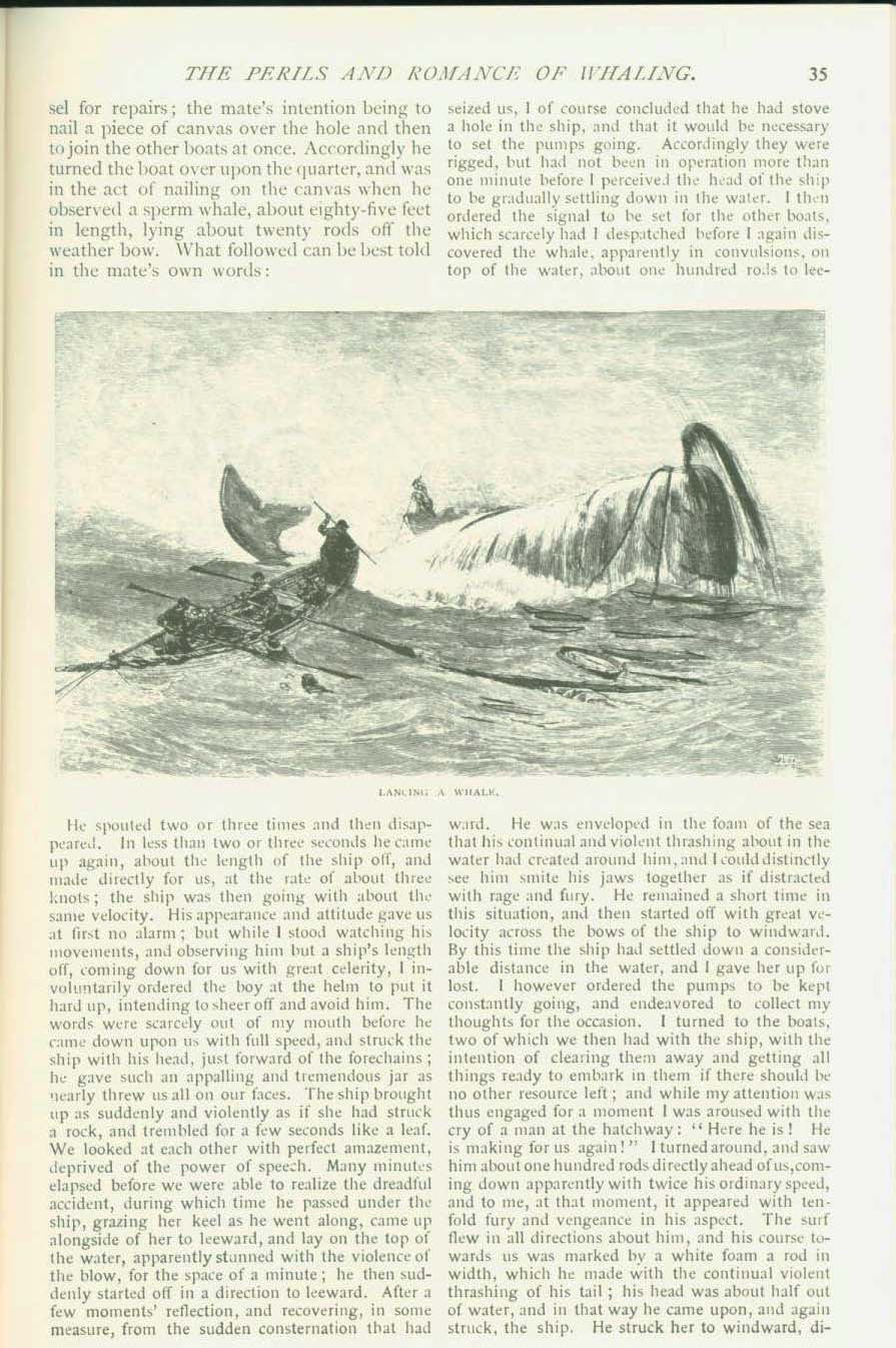 19th century whaling tales. vist0089k